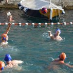 Divlja 2016 u Portu 14