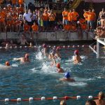 Divlja 2016 u Portu 2