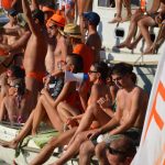 Divlja 2016 u Portu 9