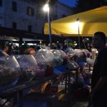 Karneval Cavtat 2016 12