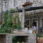 OPG Eko Skoj Korcula 1