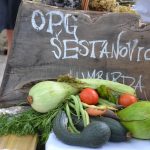 OPG Eko Skoj Korcula 15