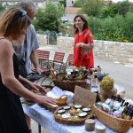 OPG Eko Skoj Korcula 4
