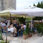 OPG Eko Skoj Korcula 59