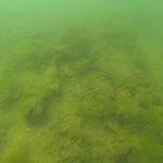 Ombla Ciscenje Podmorja RK Dubrovnik 1