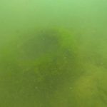 Ombla Ciscenje Podmorja RK Dubrovnik 16