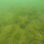 Ombla Ciscenje Podmorja RK Dubrovnik 17
