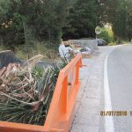 Smece Trsteno 2016 1