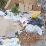 Smece Trsteno 2016 2