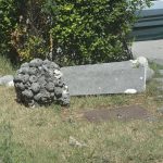 aci sorkocevic016