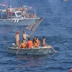 divlja porporela019