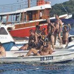 divlja porporela033