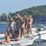 divlja porporela039