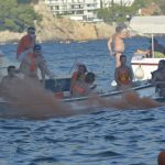 divlja porporela046
