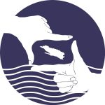 Ljetna Skola Filma Sipan 2016 1