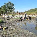 Majkovi lokva kornjaca 1