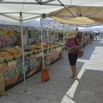 italia fest003