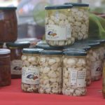 italia fest015