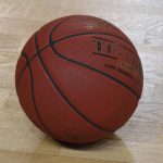 kosarka stoudamire 12