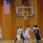 kosarka stoudamire 2