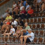 kosarka stoudamire 5