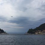 pozar lastovo