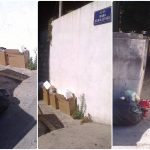 smece pile kukuljevic0000