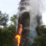 vatrogasci mljet pozar3