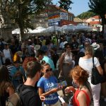Guzva Pile 15.9.16 40