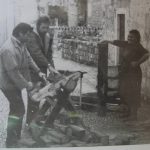 Ulicama 256 Peline 1