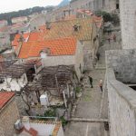 Ulicama 256 Peline 5