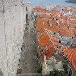 Ulicama 256 Peline 6
