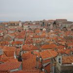 Ulicama 256 Peline 7