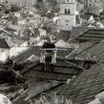 Ulicama 256 Peline 8