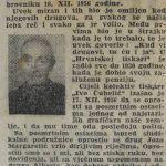 njavro ulice 254 1