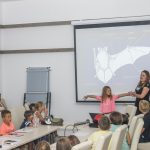 noc sismisa lokrum 2016 1