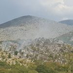 pozar brotnice konavoska brda 120916 1