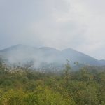 pozar brotnice konavoska brda 120916 3