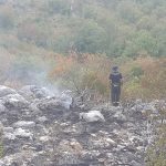 pozar konavoska brda brotnice 120916 1