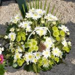 Cvijece dan mrtvih 2016 51