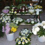 Cvijece dan mrtvih 2016 78