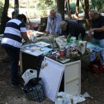 Lokrum Kolonija 2016 14