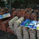 Lokrum Kolonija 2016 17
