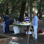 Lokrum Kolonija 2016 9