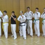Taekwon do Shark 1