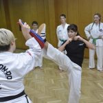 Taekwon do Shark 2