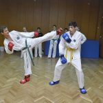 Taekwon do Shark 3