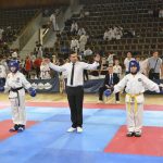 Taekwondo 1