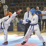 Taekwondo 10