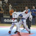 Taekwondo 11